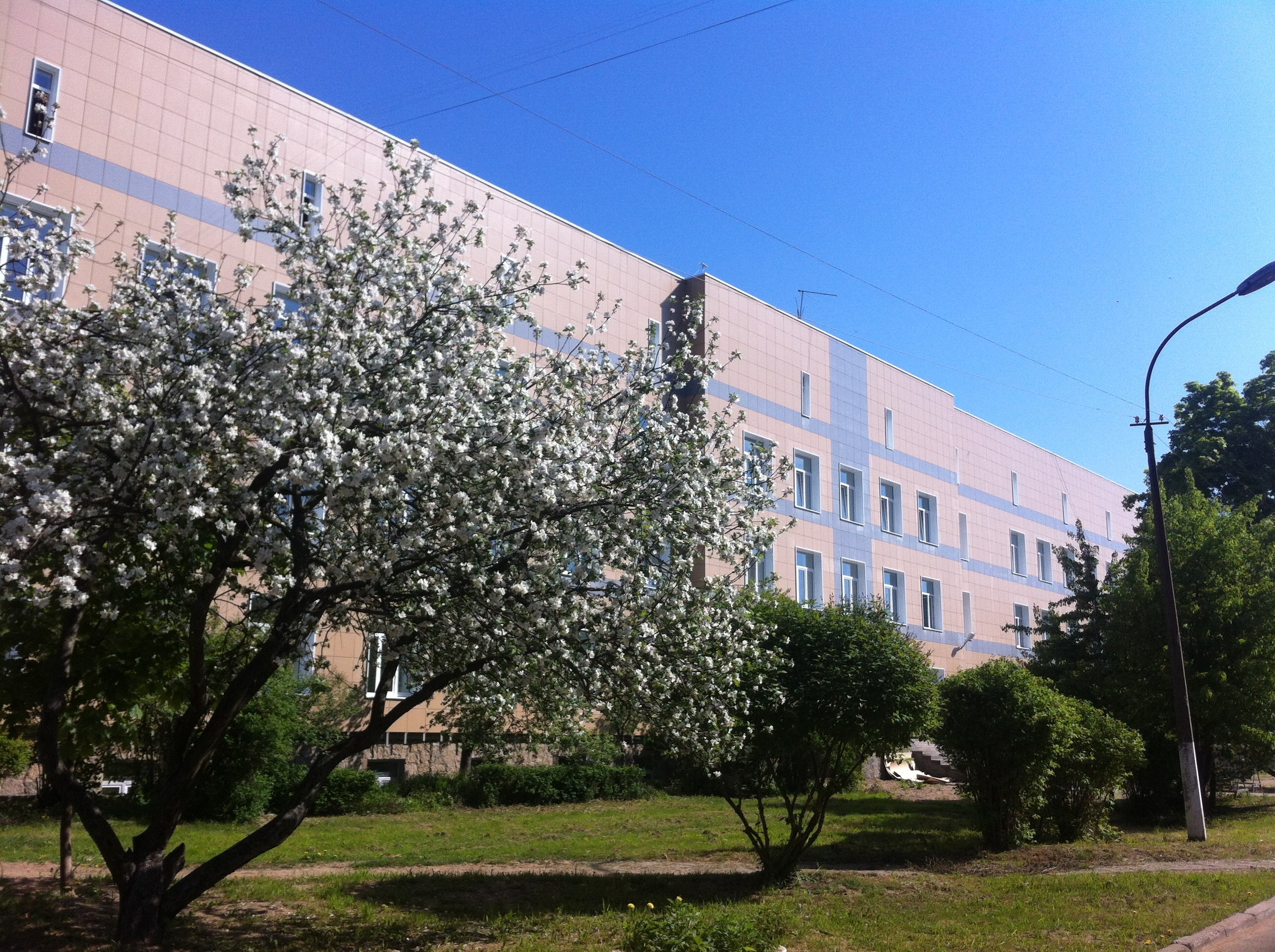 Городская больница № 40 в Сестрорецке (ЛО) — фотография 7