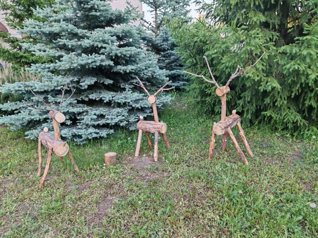 Реабилитационный центр «Астра» — фотография 3