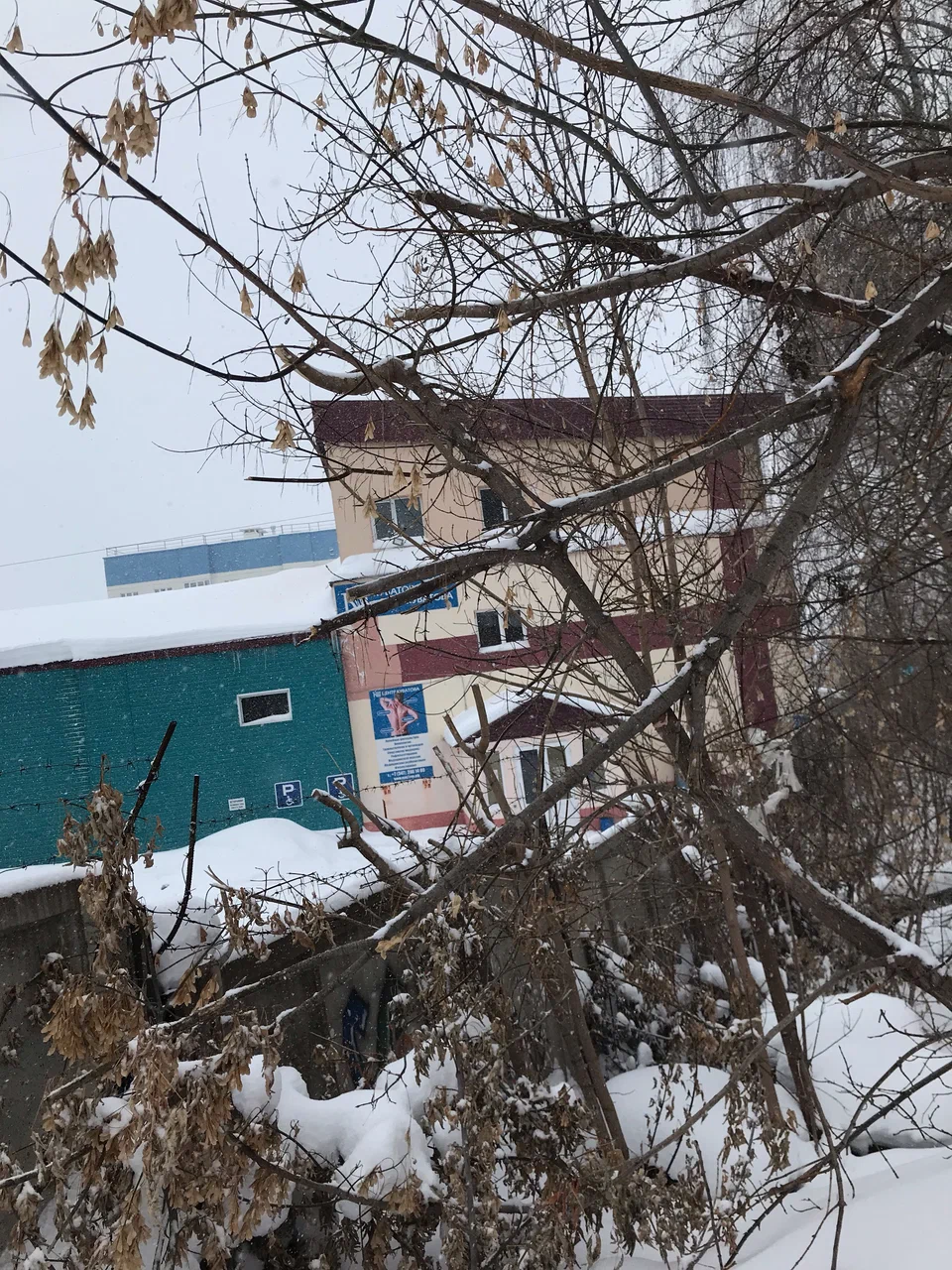 Центр адаптивной физической культуры и реабилитации Куватова — фотография 4